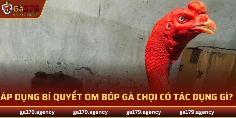 Áp dụng bí quyết om bóp gà chọi có tác dụng gì?