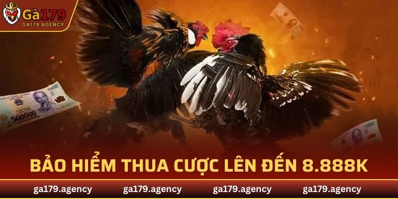 Bảo hiểm thua cược lên đến 8.888k chỉ có tại GA179