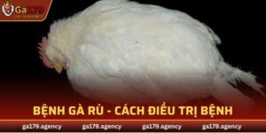 Bệnh Gà Rù