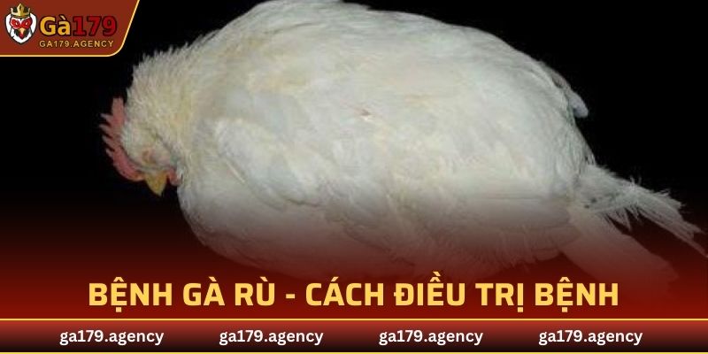 Bệnh Gà Rù
