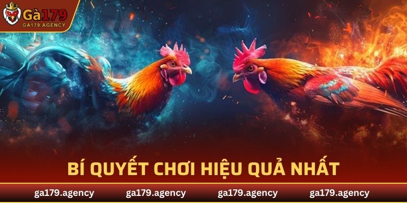 Bí quyết chơi hiệu quả nhất