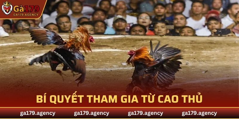 Bí quyết tham gia từ cao thủ