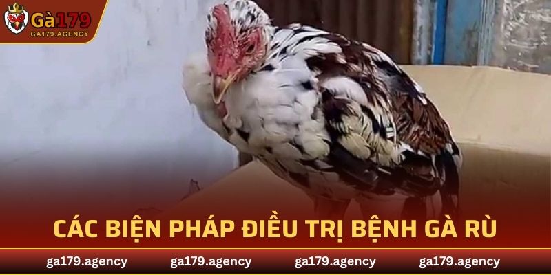 Các biện pháp điều trị bệnh gà rù