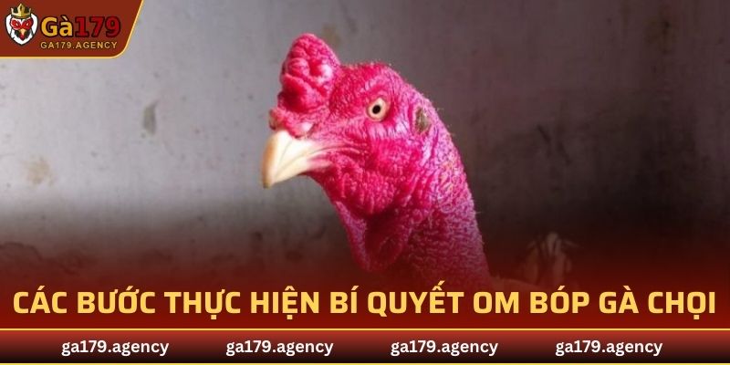 Các bước thực hiện bí quyết om bóp gà chọi