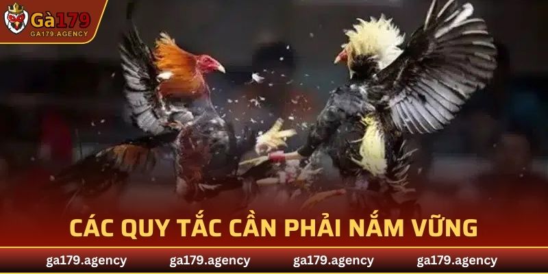 Các quy tắc cần phải nắm vững