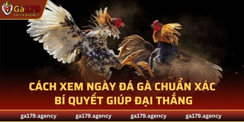 Cách Xem Ngày Đá Gà