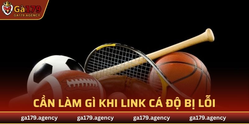 Cần làm gì khi link cá độ thể thao bị lỗi?