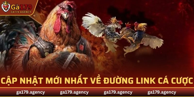 Cập nhật mới nhất về đường link cá cược do nhà cái cung cấp