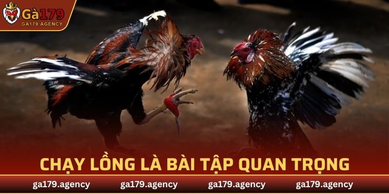 Chạy lồng là bài tập quan trọng