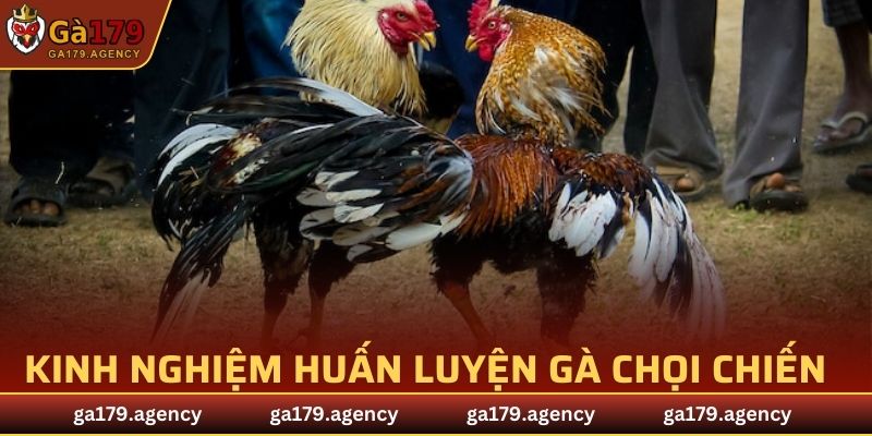 Chia sẻ kinh nghiệm huấn luyện hiệu quả từ chuyên gia