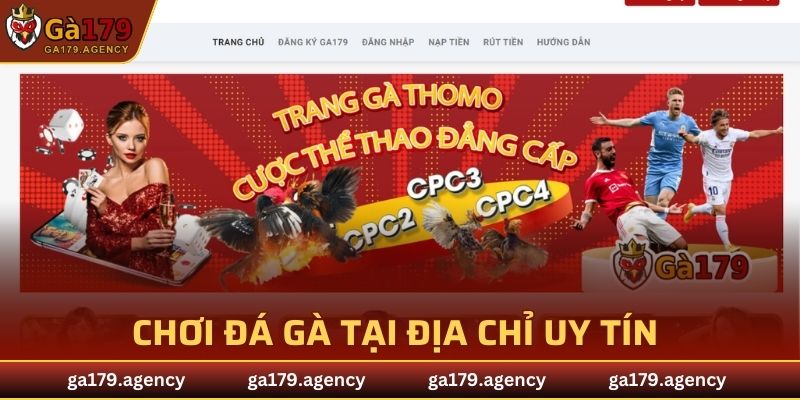 Chơi đá gà tại địa chỉ uy tín để đảm bảo an toàn, chất lượng
