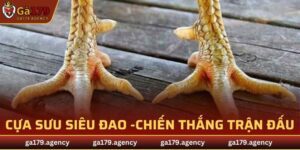 Cựa Sưu Siêu Đao