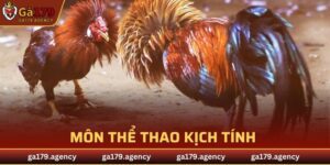 Đá Gà Cựa Dao