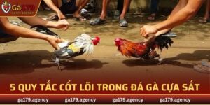 Đá Gà Cựa Sắt