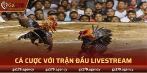 Đá Gà Trực Tuyến