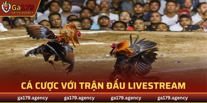 Đá Gà Trực Tuyến