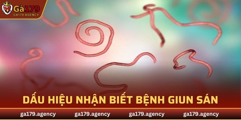 Dấu hiệu giúp nhận biết được bệnh giun sán cơ bản nhất