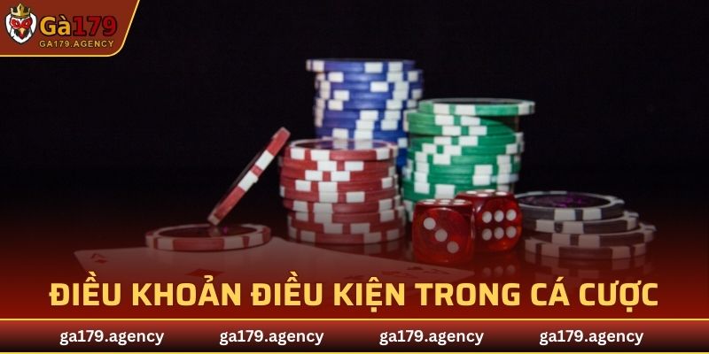 Điều khoản điều kiện trong cá cược giải trí và đổi thưởng