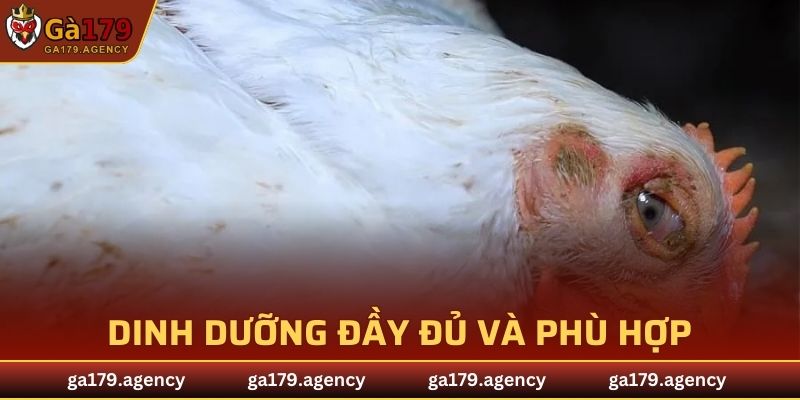 Dinh dưỡng đầy đủ và phù hợp để tăng sức đề kháng