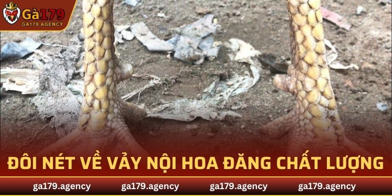 Đôi nét về vảy Nội Hoa Đăng chất lượng