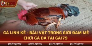 Gà Linh Kê