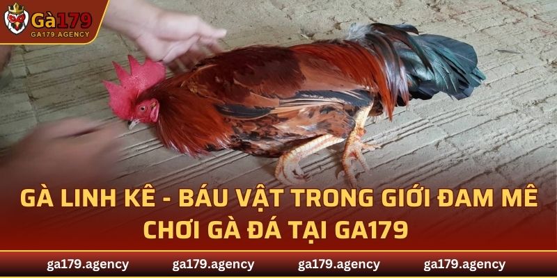 Gà Linh Kê