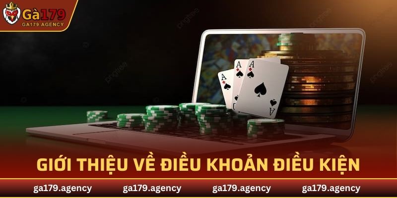 Giới thiệu về điều khoản điều kiện và vai trò chung