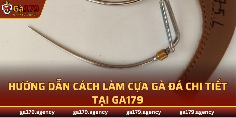 Hướng dẫn cách làm cựa gà đá chi tiết tại GA179