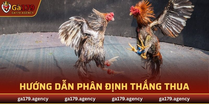Hướng dẫn phân định thắng thua