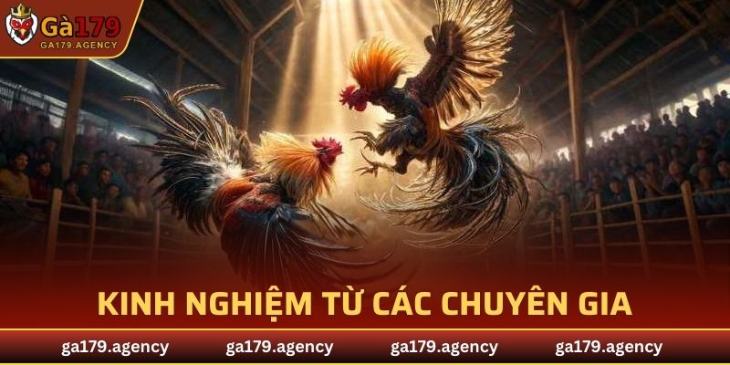 Kinh nghiệm từ các chuyên gia