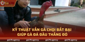 Kỹ Thuật Vần Gà Chọi