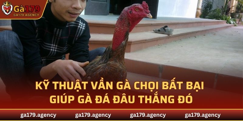Kỹ Thuật Vần Gà Chọi
