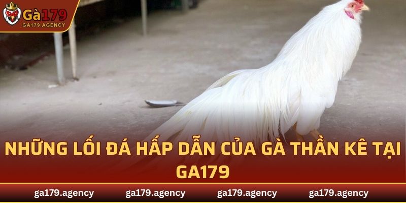 Những lối đá hấp dẫn của gà thần kê tại GA179