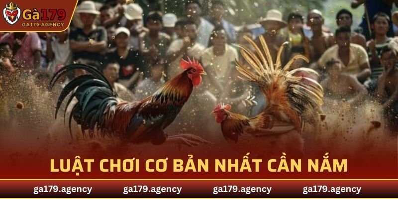 Luật chơi cơ bản nhất cần nắm