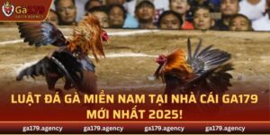 Luật Đá Gà Miền Nam