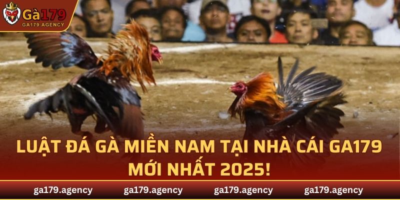 Luật Đá Gà Miền Nam