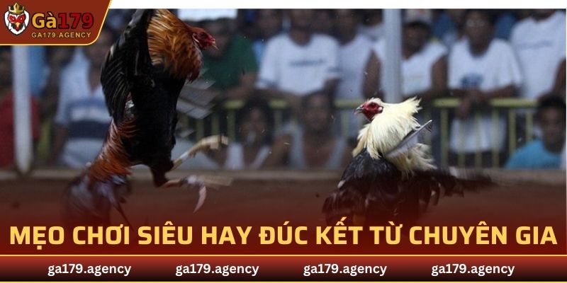 Mẹo chơi siêu hay, siêu hiệu quả được đúc kết từ chuyên gia