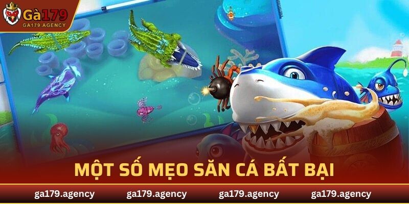 Một số mẹo săn cá bất bại từ các cao thủ