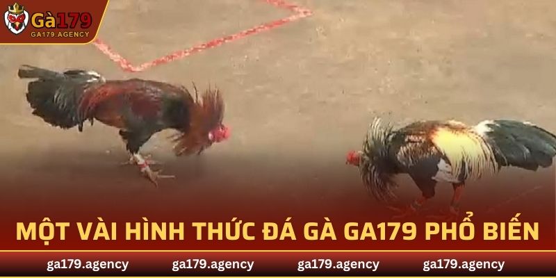 Một vài hình thức cá cược thông dụng nhất tại sảnh đá gà GA179