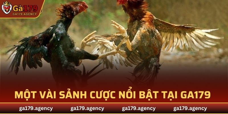 Một vài sảnh cược nổi bật nhất tại nhà cái GA179