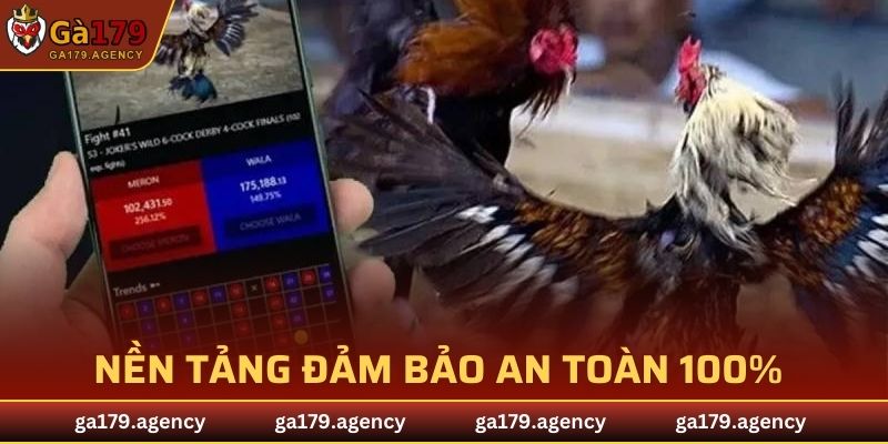 Nền tảng cá cược đảm bảo an toàn 100% về tính pháp lý
