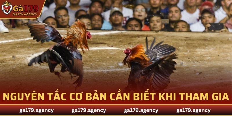 Nguyên tắc cơ bản cần biết khi tham gia