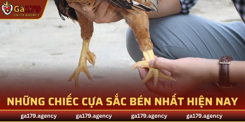 Những chiếc cựa sắc bén nhất hiện nay