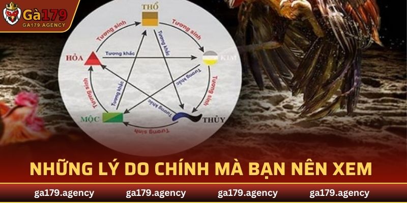 Những lý do chính mà bạn nên xem
