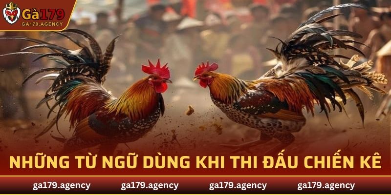 Những từ ngữ dùng khi thi đấu chiến kê