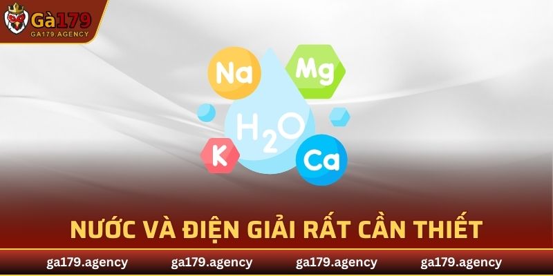 Nước và điện giải rất cần thiết trong việc phục hồi năng lượng