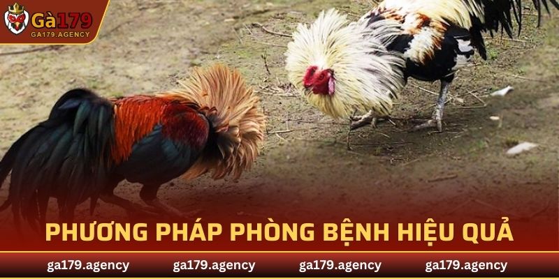 Phương pháp phòng bệnh hiệu quả