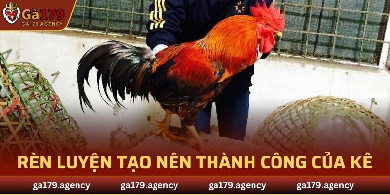 Rèn luyện đóng vai trò tạo nên thành công của kê