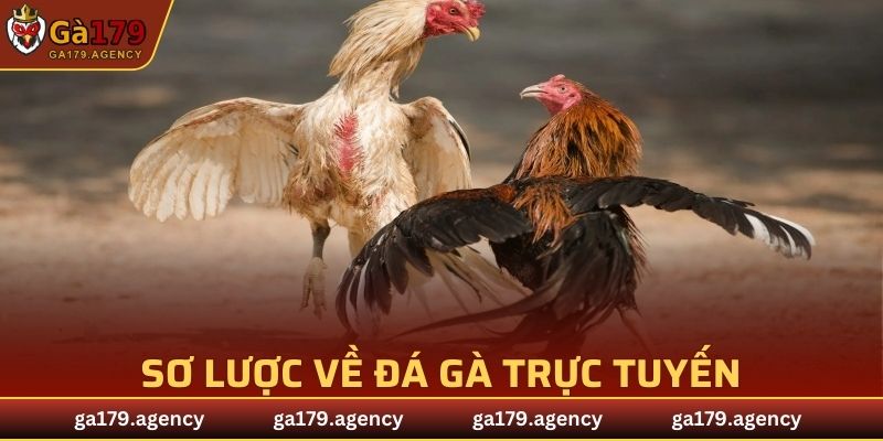 Sơ lược về Đá Gà Trực Tuyến