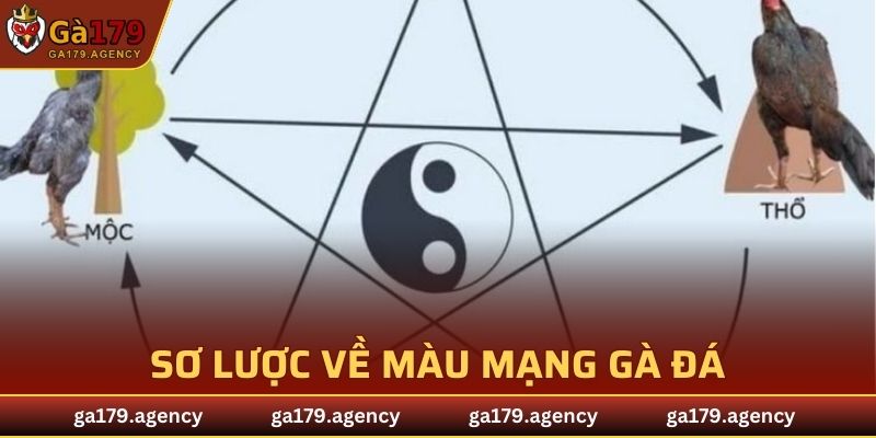 Sơ lược về màu mạng gà đá